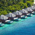 Мальдивские острова Dusit Thani Maldives 5* - 8дней/7ночей